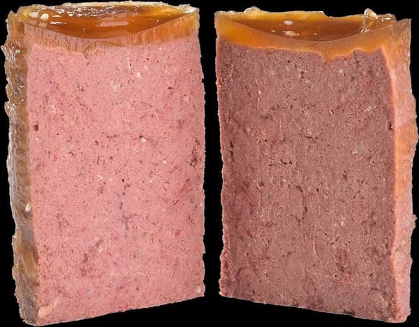 Brit Care Dog Mono Protein Lam 400g