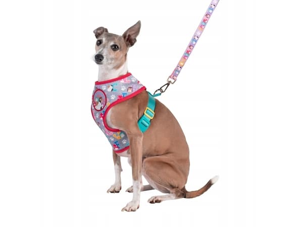 Squishmallows Pet Dog Harness  L Squad