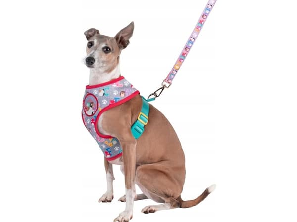 Squishmallows Pet Dog Harness S Squad