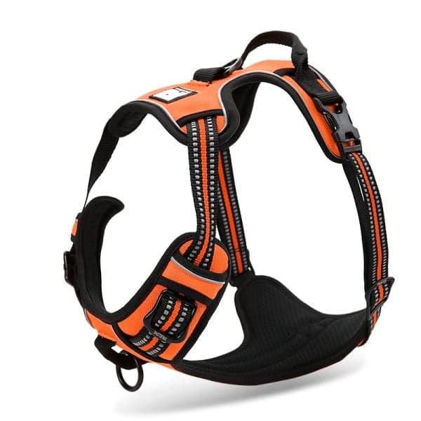 TrueLove Front Line Hundsele Orange Välj storlek: S