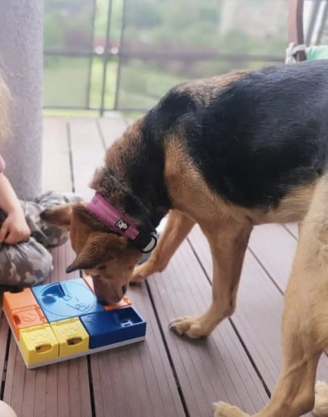 Aktivt lyserødt TrueLove hundehalsbånd Vælg størrelse: M