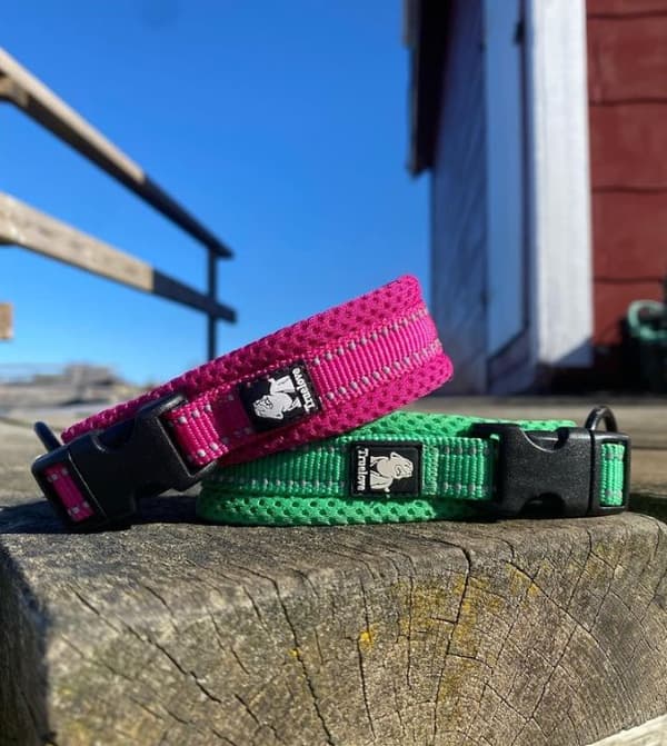 Koiranpanta Aktiivinen Pinkki TrueLove Valitse koko: L