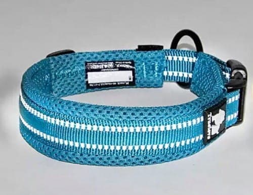 Active Blue TrueLove Hundhalsband Välj storlek: XS