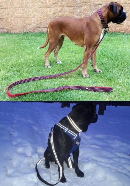 Aktivt rött TrueLove hundhalsband Välj storlek: XS