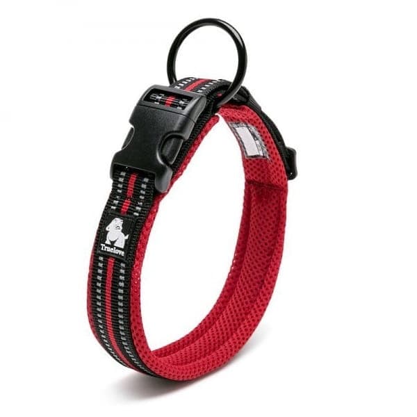 Aktivt rött TrueLove hundhalsband Välj storlek: XS