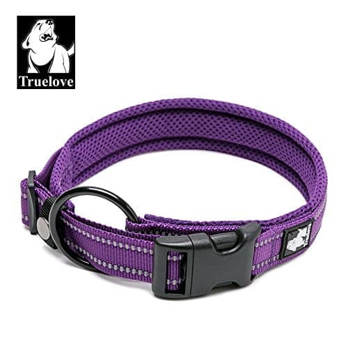 Hundhalsband Active Lila TrueLove Välj storlek: XXL