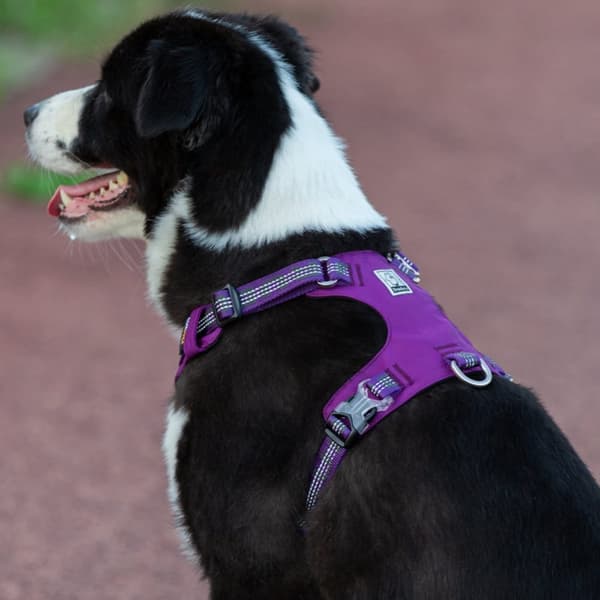 TrueLove Adventure Hundsele Lila Välj storlek: S