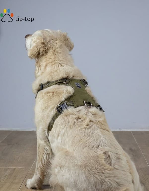 TrueLove Adventure Hundsele Khaki Välj storlek: XXS