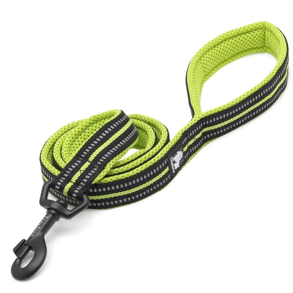 Active TrueLove city koppel lime Välj bredd: 2,5 cm