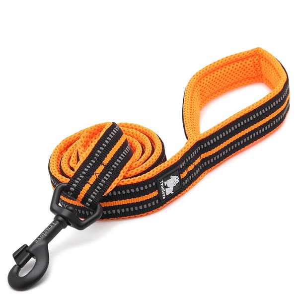Active TrueLove city koppel orange välj bredd: 2,5 cm