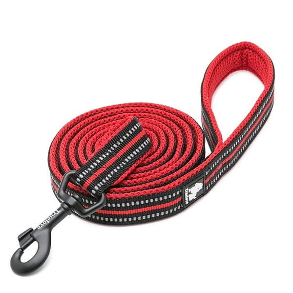 Active TrueLove city koppel rött välj bredd: 2,5 cm