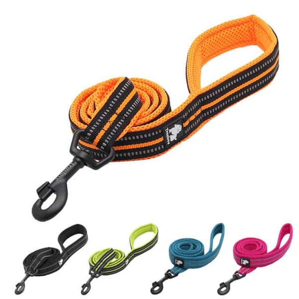 Active TrueLove city koppel blått välj bredd: 2,5 cm