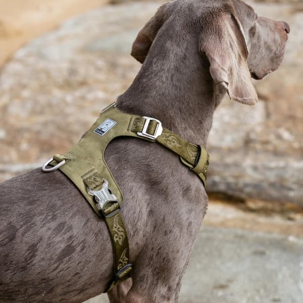 TrueLove Adventure Mjuk Hundsele Khaki Välj storlek: L