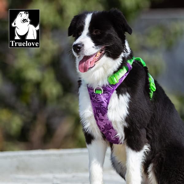 TrueLove Tropical Hundsele Lila Välj storlek: XL