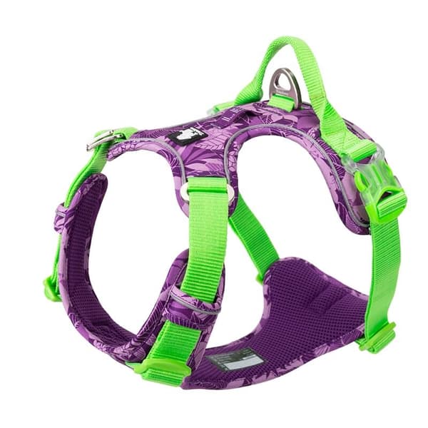 TrueLove Tropical Hundsele Lila Välj storlek: XL