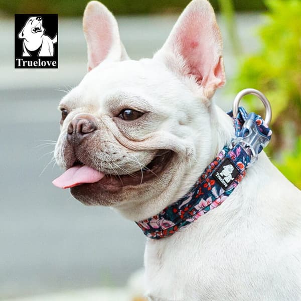 Blossom TrueLove Hundehalsbånd Marineblå-Rød Vælg størrelse: XXXL