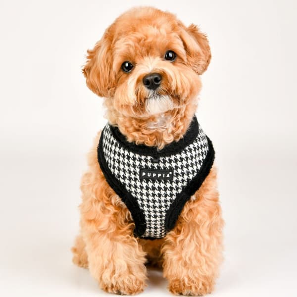 Varm sele/vest PUPPIA Shepherd sort XL
