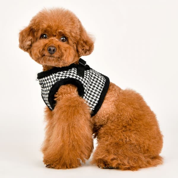 Varm sele/vest PUPPIA Shepherd sort XL