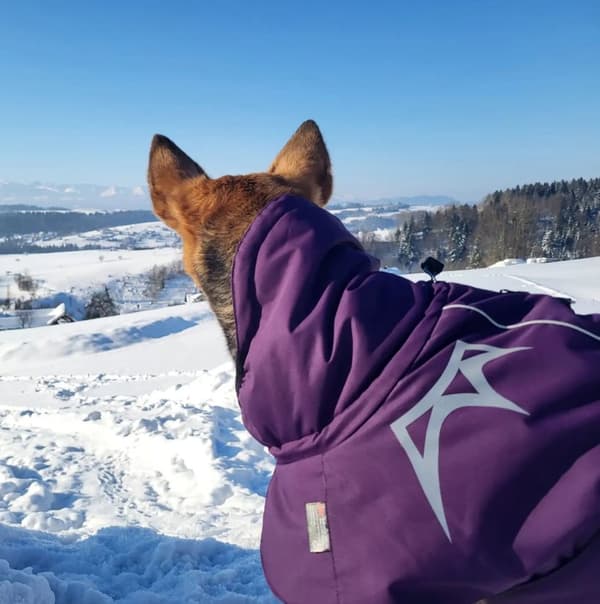 Varm vattentät hundjacka Eco Truelove lila storlek: 55cm