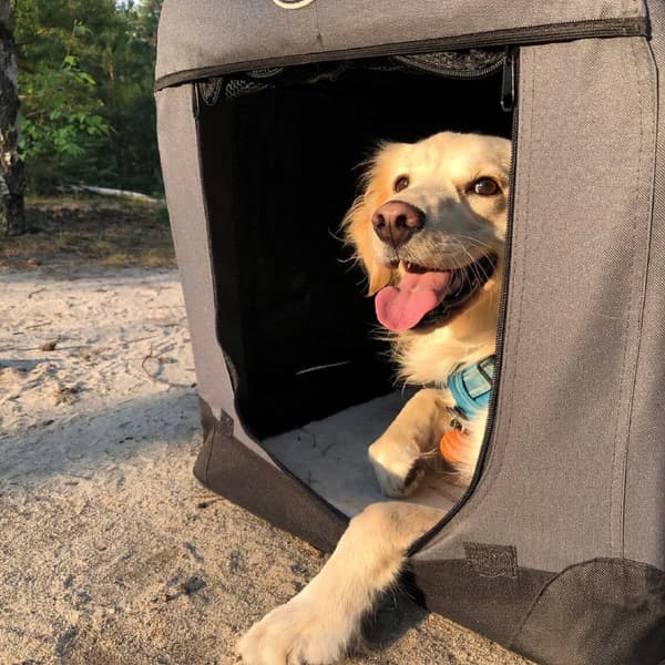 Innopet ALLT I ET Transportbur för hund/katt Välj storlek: L