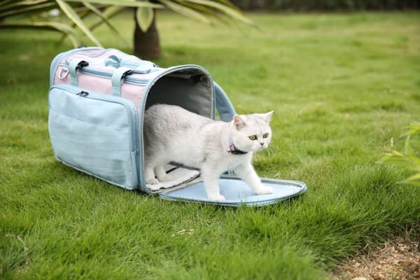 Hunde-/katte-rygsæk Baggy Truelove blå