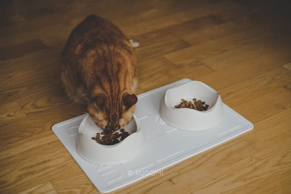 Mustafà United Pets skålmatta. Välj färg: svart