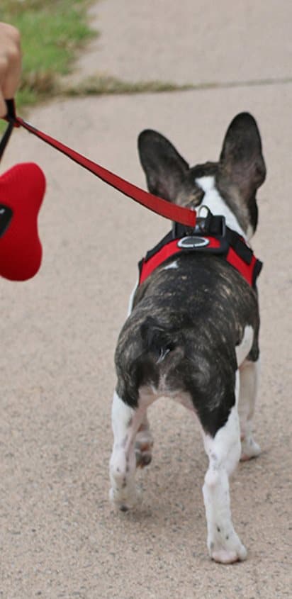 PUPPIA Mjuk sele/väst röd Välj storlek: M
