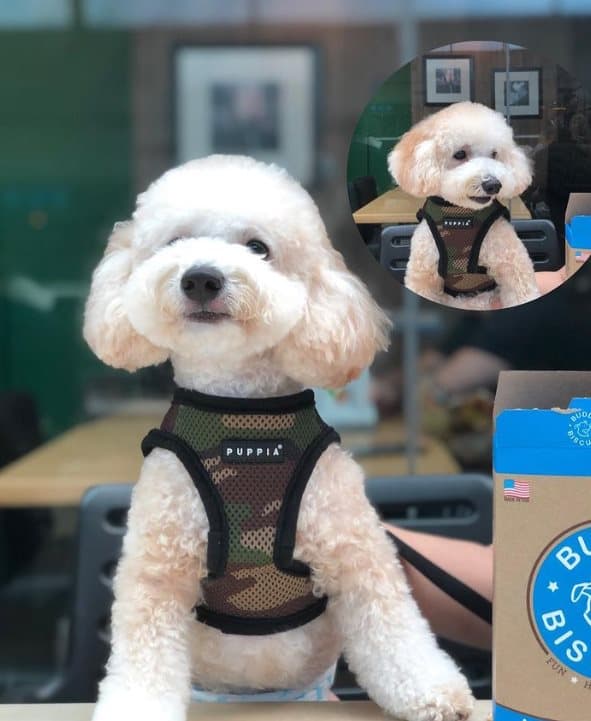 PUPPIA Mjuka kamouflagehängslen/väst Välj storlek: L