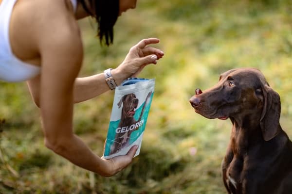 Contipro Jelly for hunder for ledd Geloren HA Large Dog 420g