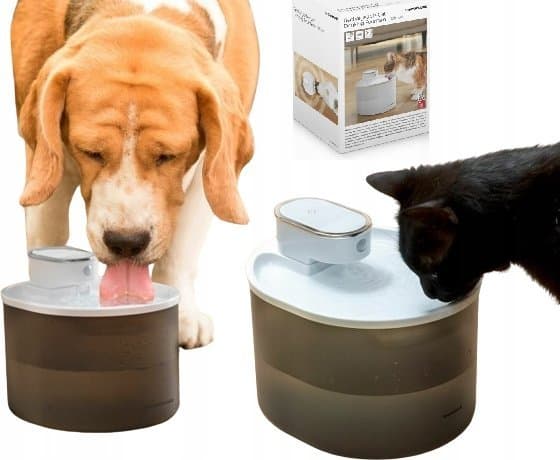 InnovaGoods InnovaGoods VANN MED BEVEGELSESSENSOR for katter og hunder