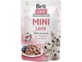 Miniatyrbild 3 av 3: Brit Care Mini Puppy Lamb med lamm för valpar av små raser 85 g.