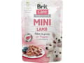 Miniatyrbild 1 av 3: Brit Care Mini Puppy Lamb med lamm för valpar av små raser 85 g.