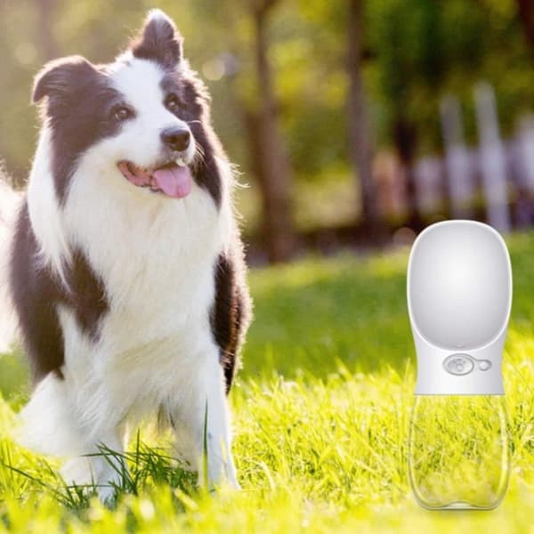 Hundeflaske 350ml med låsbart låg – lækagesikker vandflaske til hunde, perfekt til rejser og gåture