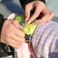 Pikkukuva 3 / 5: Sateenvarjo lemmikkieläimille Koiran ulkoiluttaminen sateessa Sadetakki koirille Sopii pienille ja keskikokoisille koirille