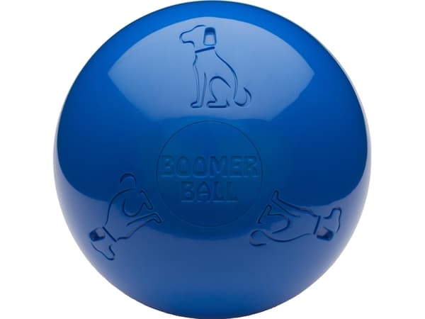 Company of Animals Boomer Ball, 8in / 200mm