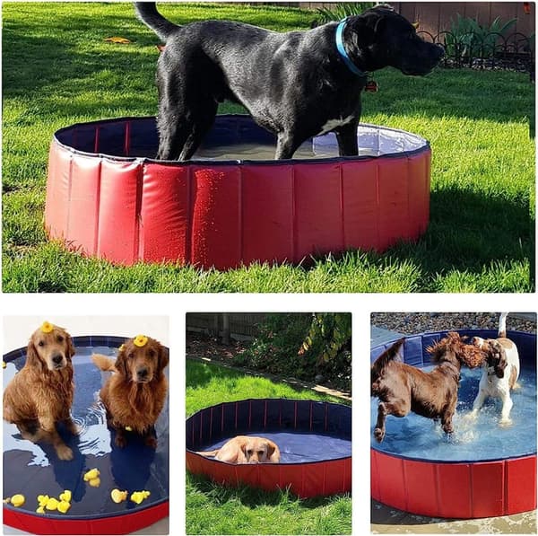 Lollanda Foldable Pet Pool – skridsikker og transportabel PVC-pool, robust og holdbar til hunde, katte og børn