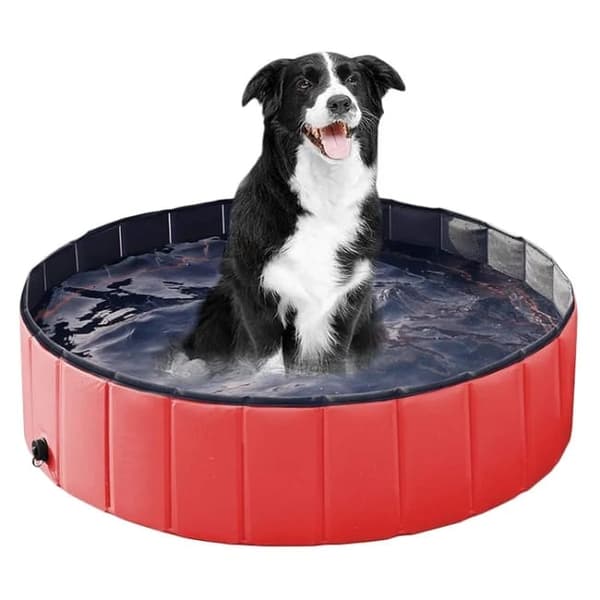 Lollanda Foldable Pet Pool – skridsikker og transportabel PVC-pool, robust og holdbar til hunde, katte og børn