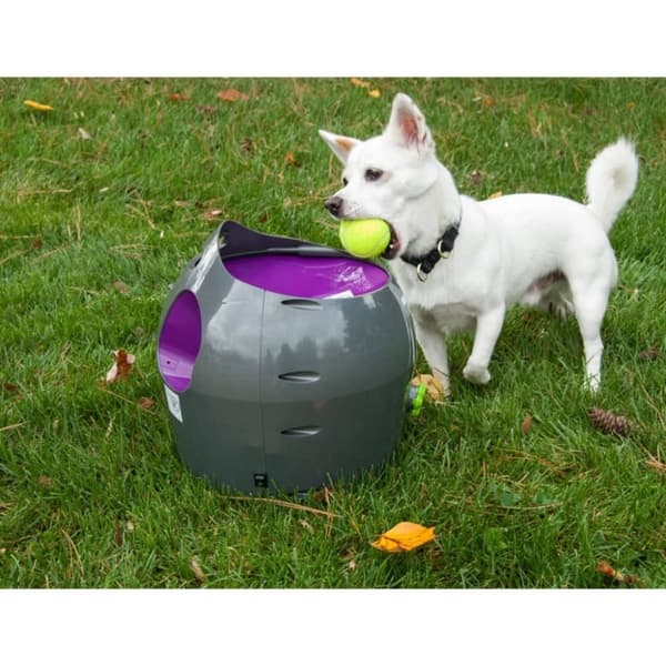 PetSafe Automaattinen pallonheitin 9 m harmaa ja violetti