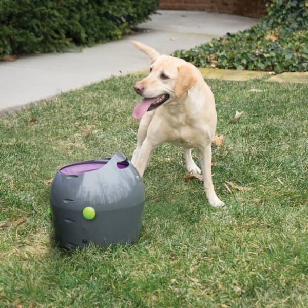PetSafe Automatisk ballkaster 9 m grå og lilla PTY00-14665