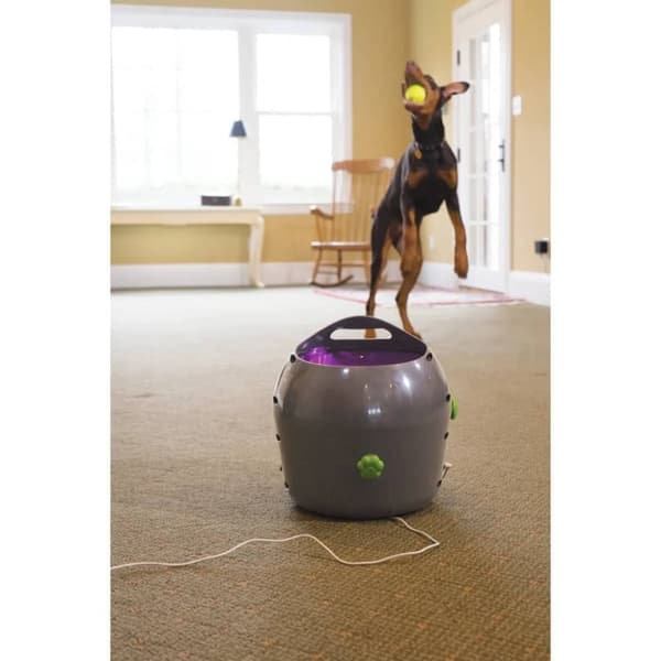 PetSafe Automatisk ballkaster 9 m grå og lilla PTY00-14665