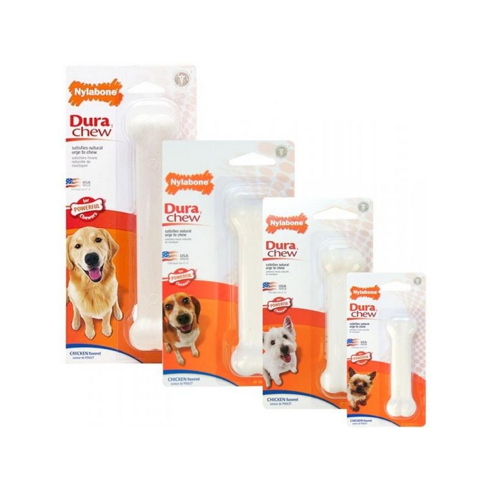 nylabone chews