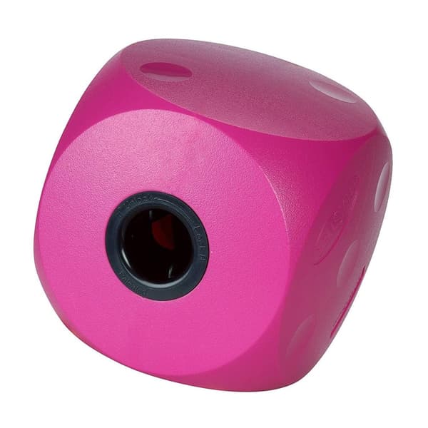 Buster Food Cube Cherry Large