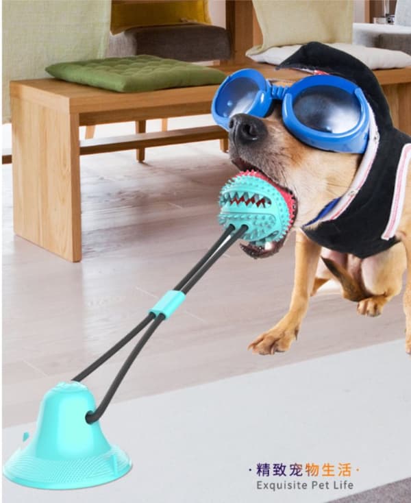 Multifunktionel hundekat sikker elastisk rengøring af tænderkugle