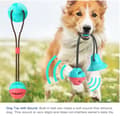 Miniatyrbillede 7 af 11: Multifunktionel hundekat sikker elastisk rengøring af tænderkugle