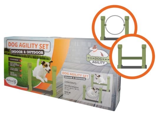 Dog Agility Jump Jumping Hindring
