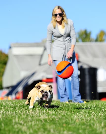 Chuckit Kick Fetch - Nyt voit vihdoin pelata oikeaa jalkapalloa koirasi kanssa! Suuri leikki- / hakupallo koirille