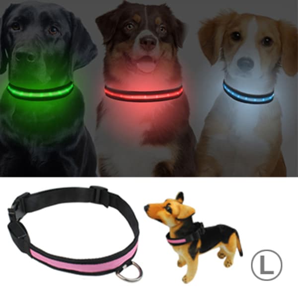 Hund-halsband med LED belysning