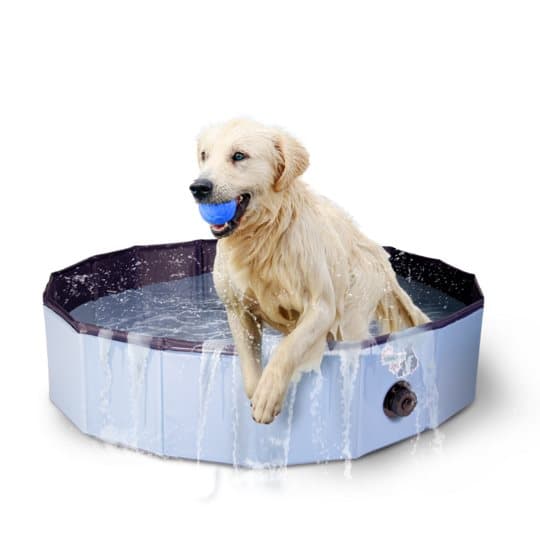 CoolPets Pool - Tämä uima-allas tarjoaa koirille täydellisen tavan vilvoitella!