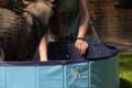 Pikkukuva 3 / 7: CoolPets Pool - Tämä uima-allas tarjoaa koirille täydellisen tavan vilvoitella!