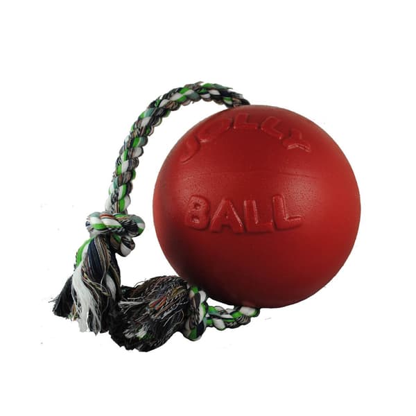 Jolly Pets Romp-N-Roll Dog Ball